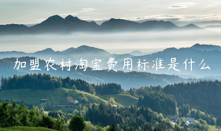 加盟農(nóng)村淘寶費(fèi)用標(biāo)準(zhǔn)是什么